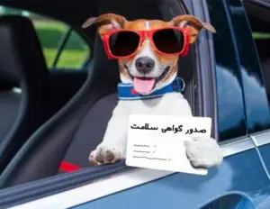 تصویر شماره 1 خدمت 