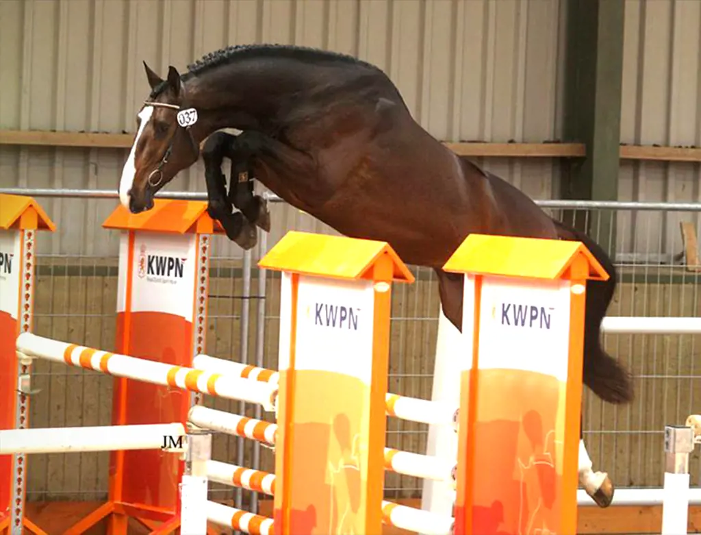 تصویر شماره 3 خدمت 