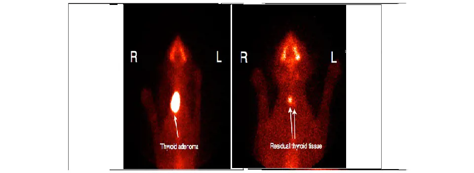 تصویر شماره 1 خدمت 