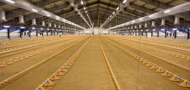 تصویر شماره 3 خدمت 