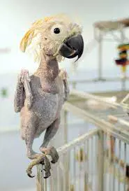 تصویر شماره 2 خدمت 