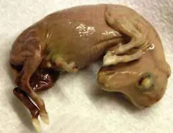 تصویر شماره 1 خدمت 