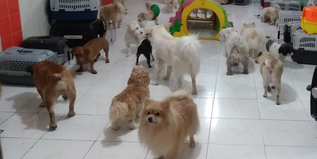 تصویر شماره 1 خدمت 