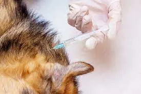 تصویر شماره 1 خدمت 