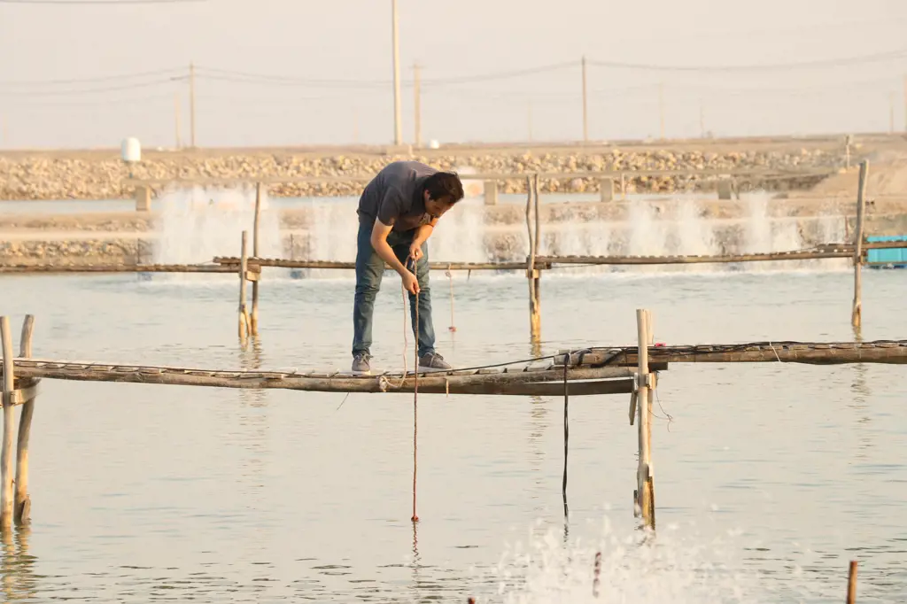 تصویر شماره 1 خدمت 