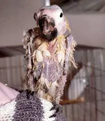 تصویر شماره 2 خدمت 