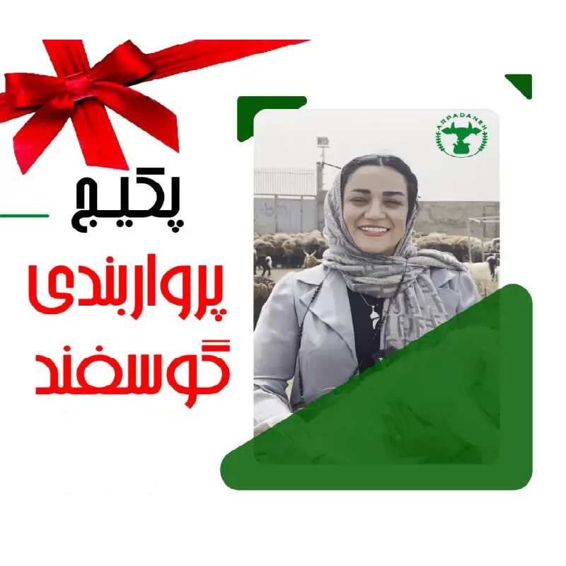 تصویر شماره 1 خدمت 