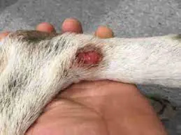 تصویر شماره 2 خدمت 