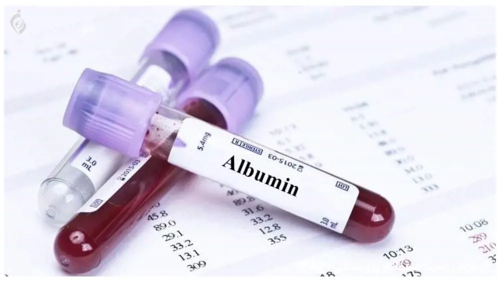 تصویر شماره 1 خدمت 