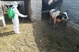 تصویر شماره 1 خدمت 