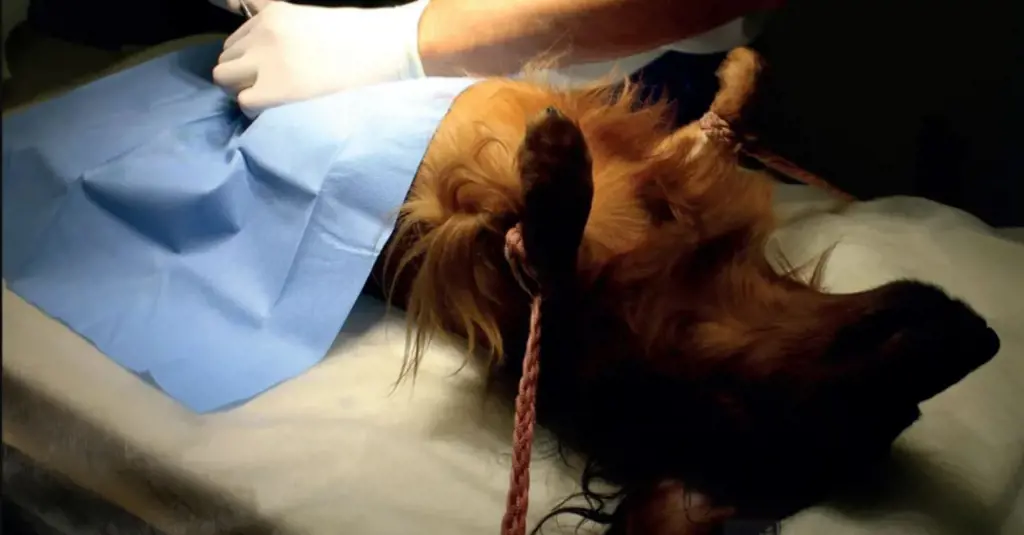 تصویر شماره 1 خدمت 