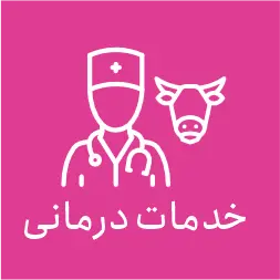 تصویر شماره 2 خدمت 