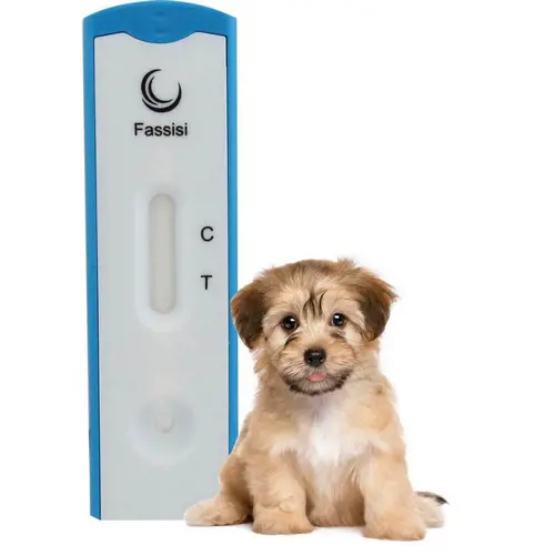 تصویر شماره 1 خدمت 