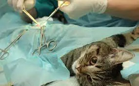 تصویر شماره 1 خدمت 