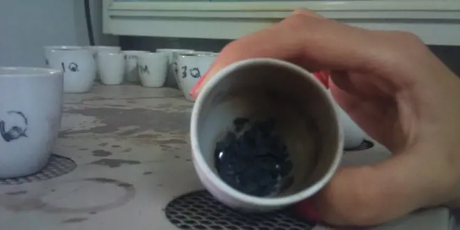 تصویر شماره 1 خدمت 