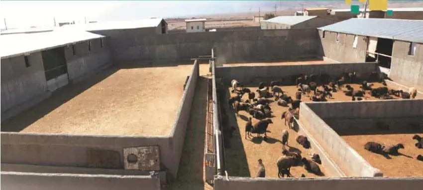 تصویر شماره 1 خدمت 