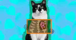 تصویر شماره 1 خدمت 