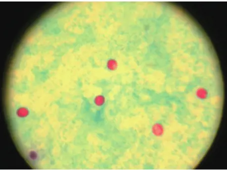 تصویر شماره 1 خدمت 