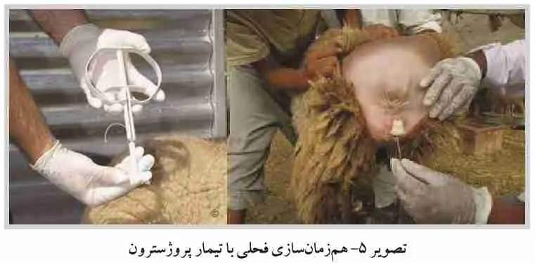 تصویر شماره 3 خدمت 