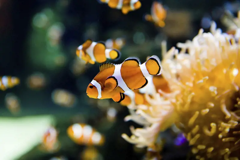 تصویر شماره 1 خدمت 