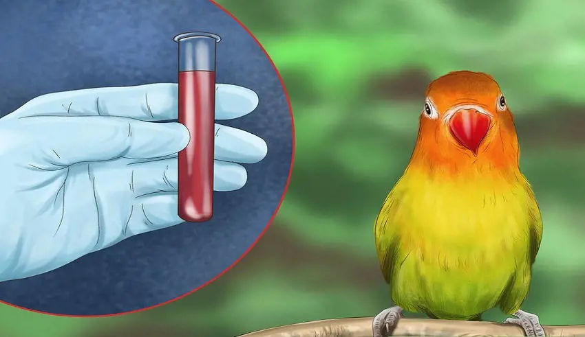 تصویر شماره 1 خدمت 