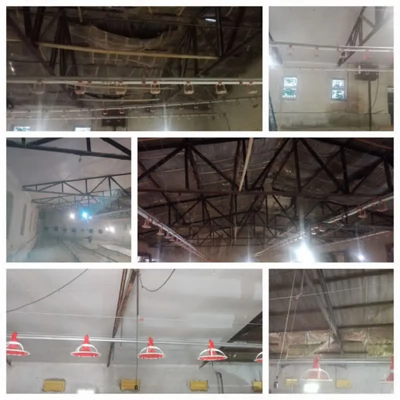 تصویر شماره 1 خدمت 