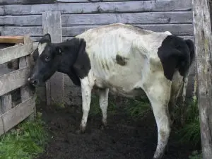 تصویر شماره 1 خدمت 