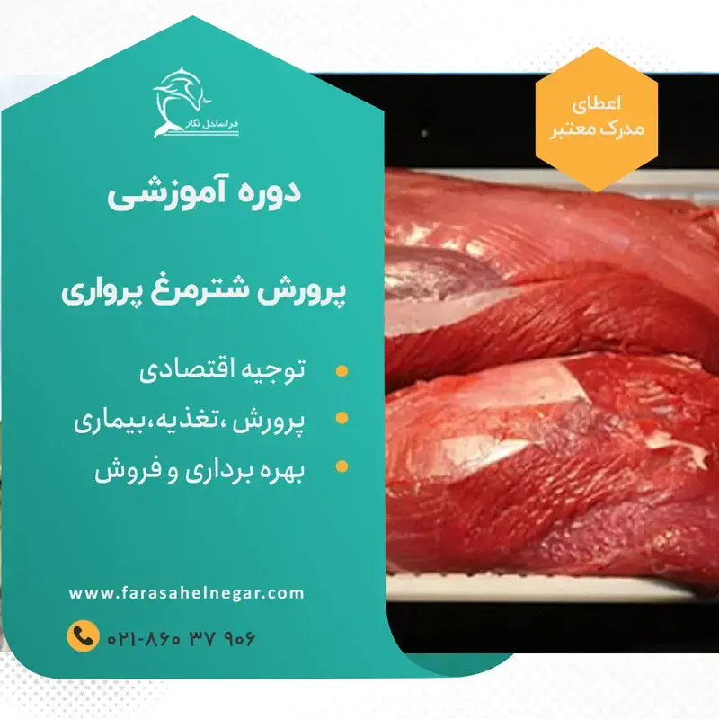 تصویر شماره 1 خدمت 