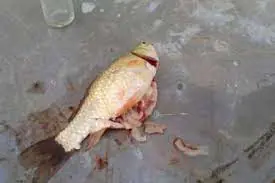 تصویر شماره 1 خدمت 