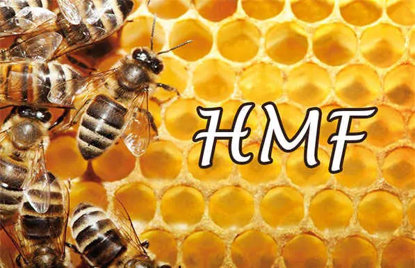 تصویر شماره 2 خدمت 