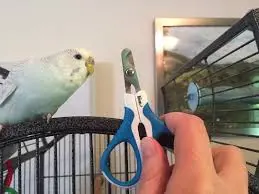 تصویر شماره 1 خدمت 