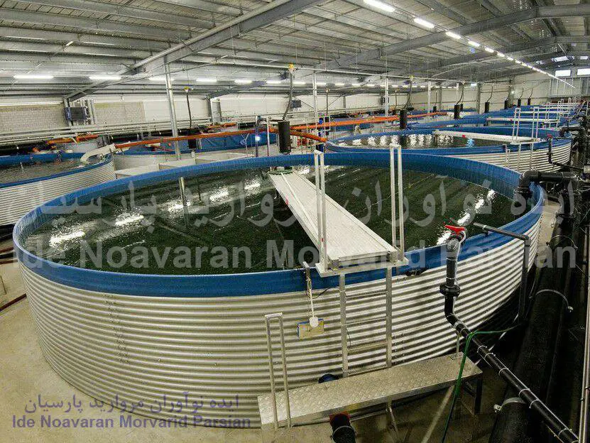 تصویر شماره 3 خدمت 