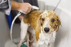 تصویر شماره 1 خدمت 