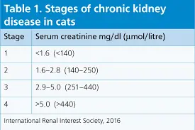 تصویر شماره 1 خدمت 