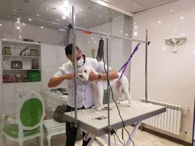 تصویر شماره 2 خدمت 