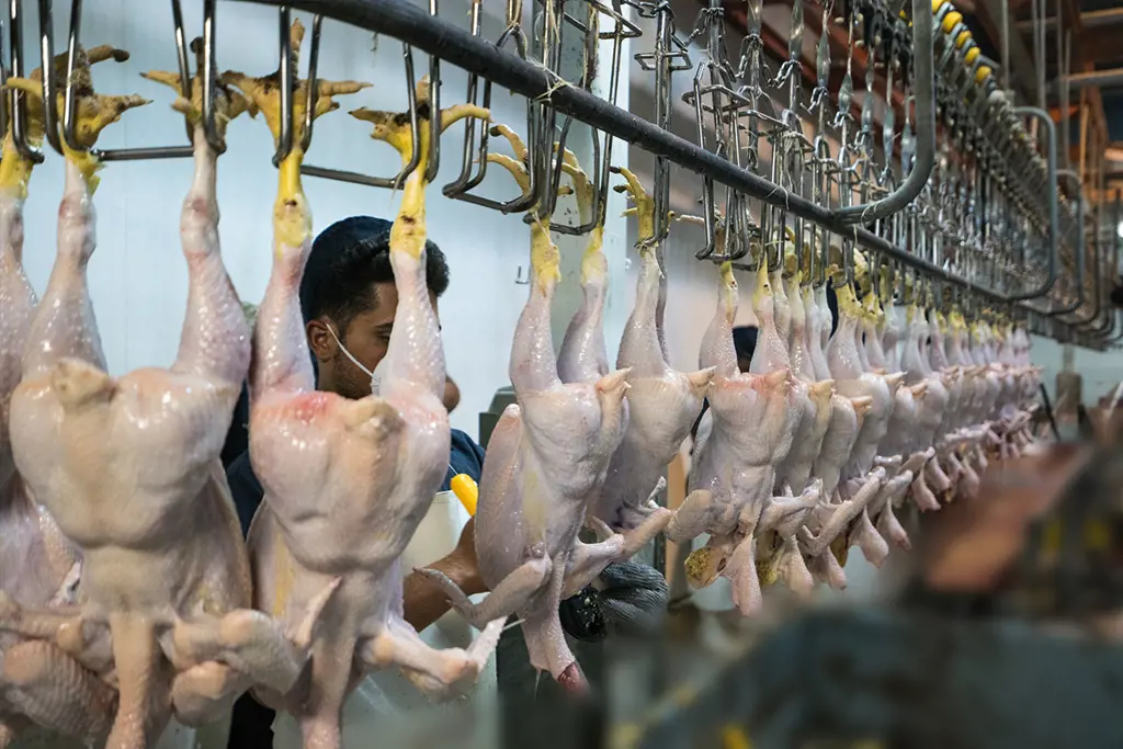 تصویر شماره 1 خدمت 