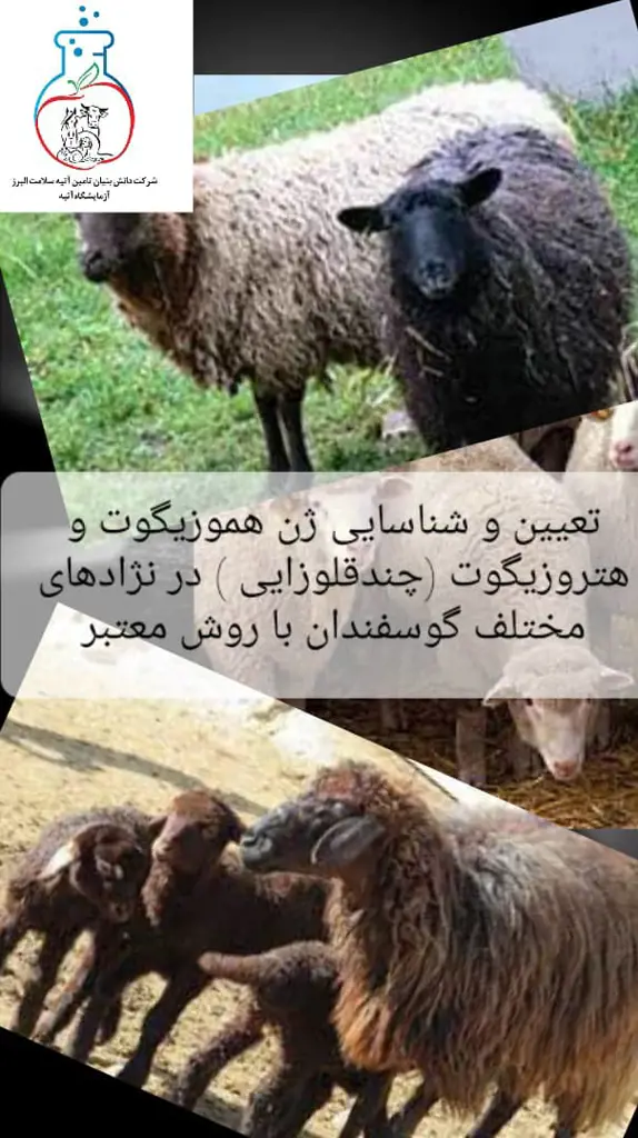 تصویر شماره 2 خدمت 