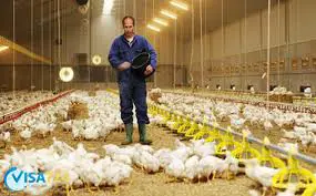 تصویر شماره 2 خدمت 