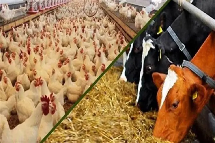 تصویر شماره 1 خدمت 