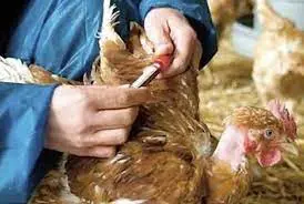 تصویر شماره 1 خدمت 