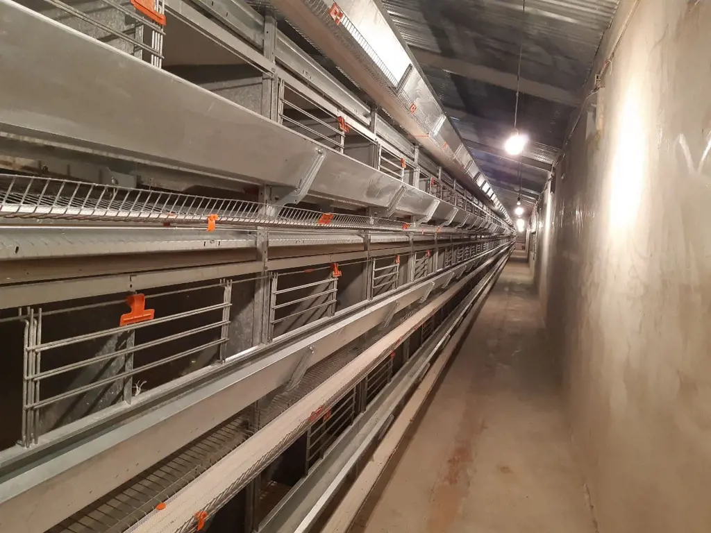 تصویر شماره 1 خدمت 