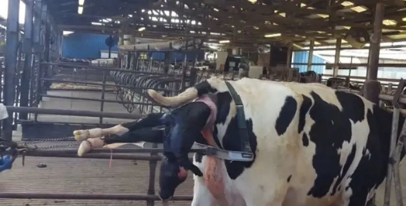 تصویر شماره 1 خدمت 