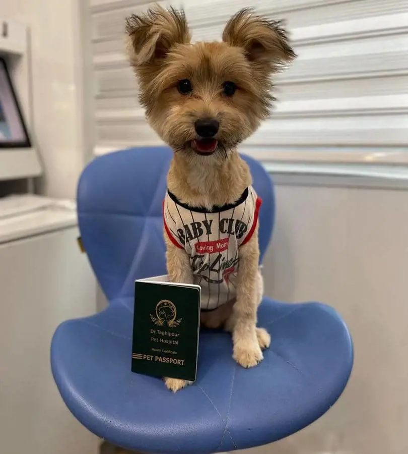 تصویر شماره 1 خدمت 