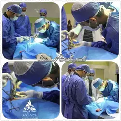 تصویر شماره 3 خدمت 