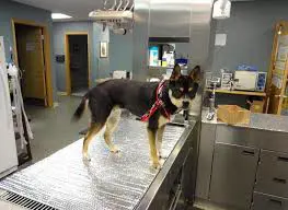 تصویر شماره 1 خدمت 