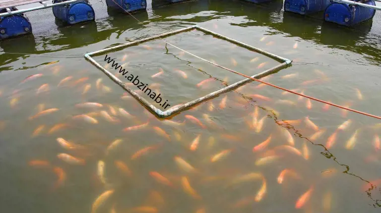 تصویر شماره 4 خدمت 