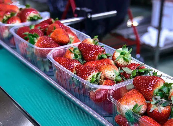 تصویر شماره 3 خدمت 