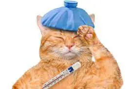 تصویر شماره 2 خدمت 