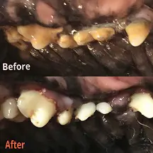 تصویر شماره 2 خدمت 