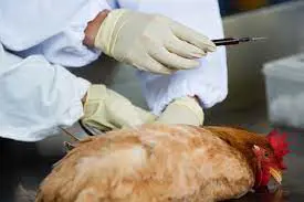 تصویر شماره 2 خدمت 